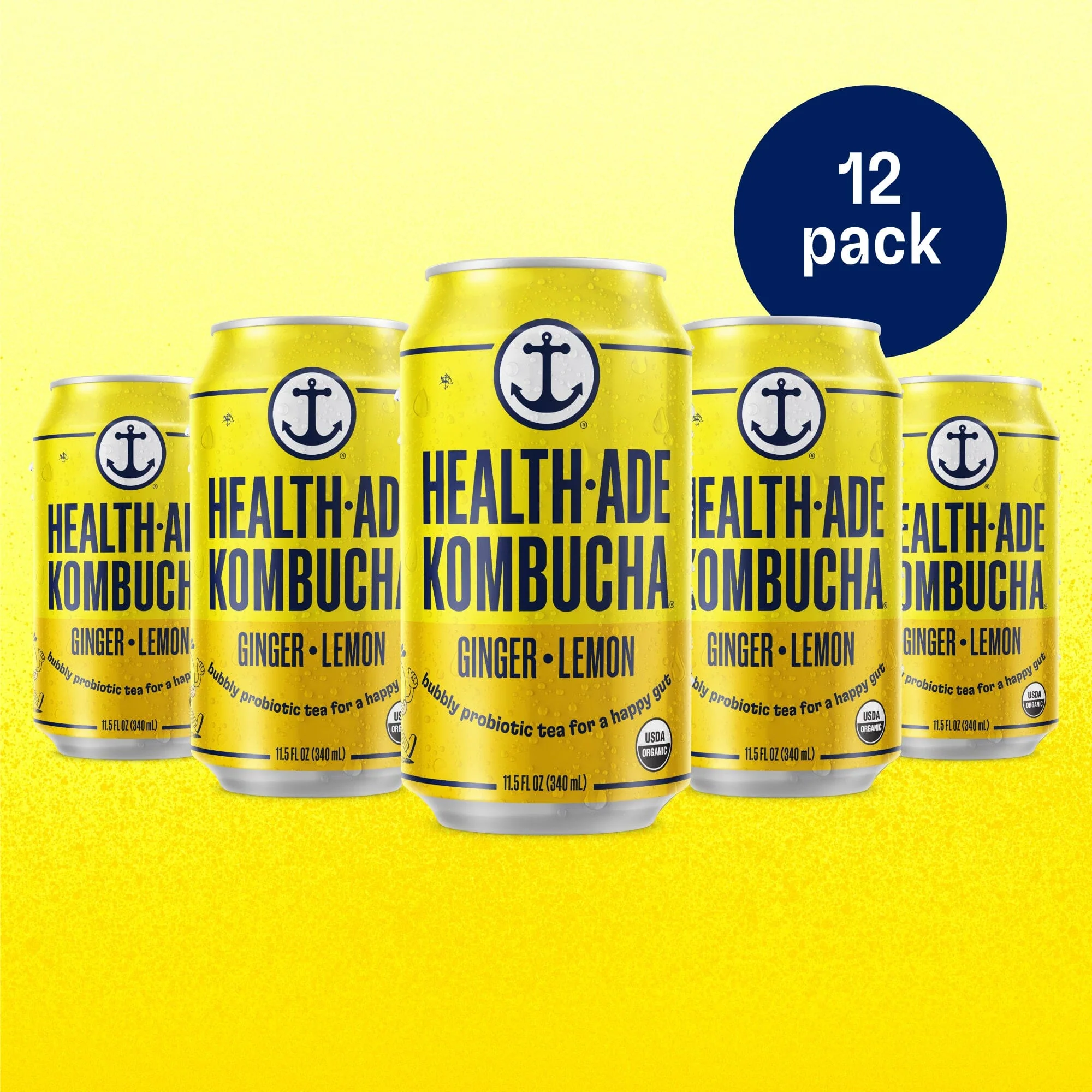 Ginger-Lemon Kombucha in Cans - Image 14