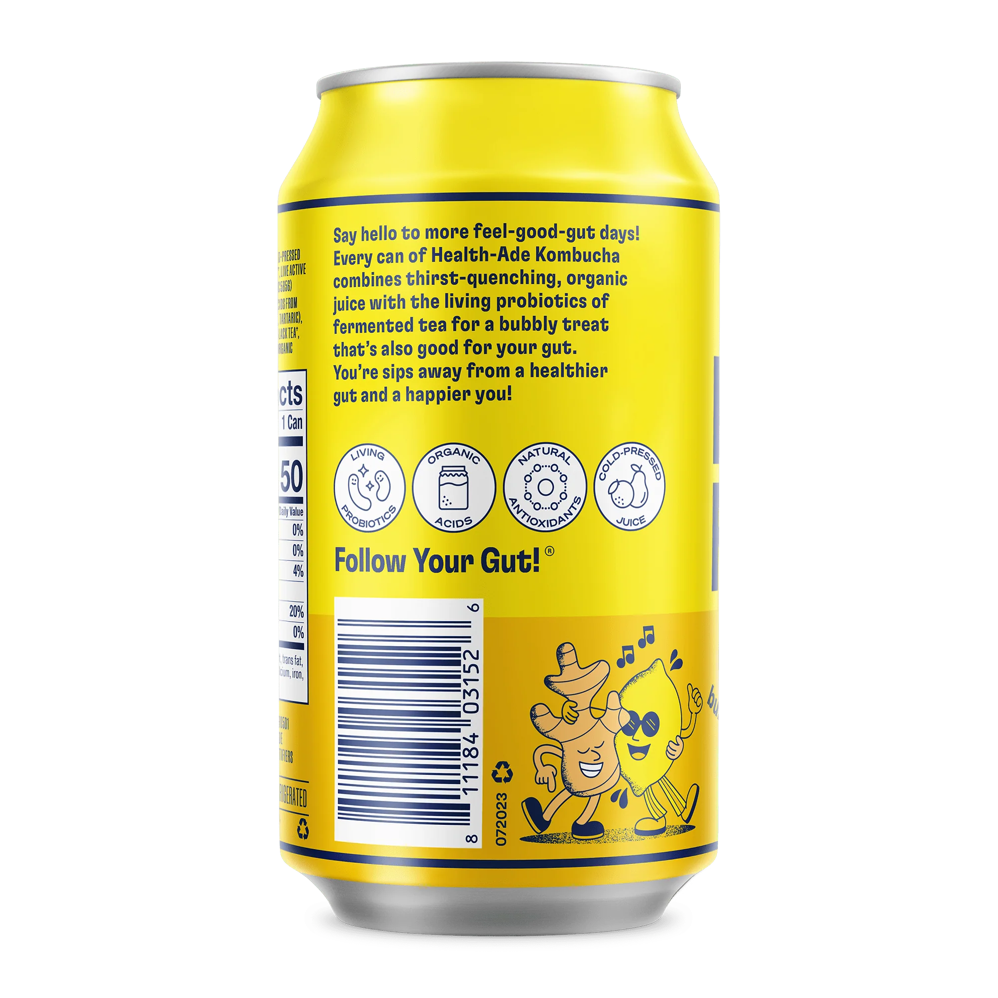 Ginger-Lemon Kombucha in Cans - Image 6